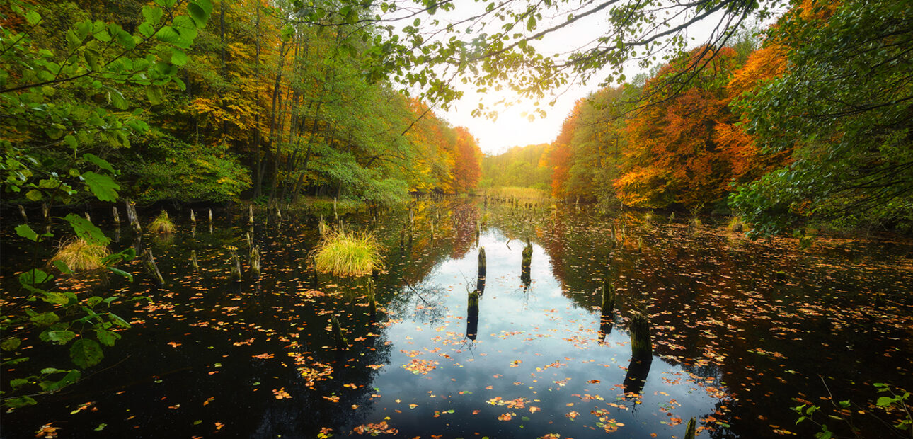 Hidden Lake Park in Merrillville Review